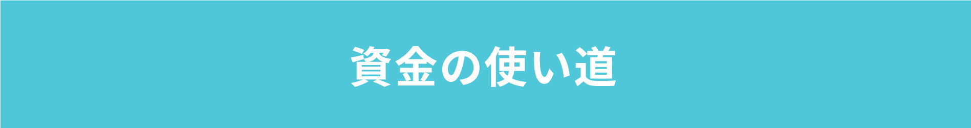資金の使い道