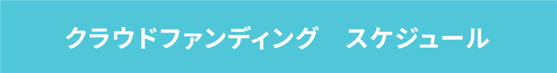 クラウドファンティング　スケジュール