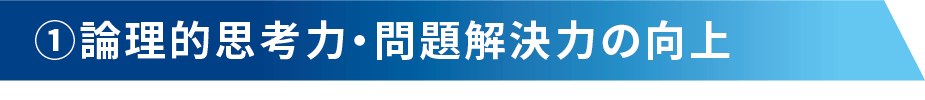 理論的思考力・問題解決力の向上